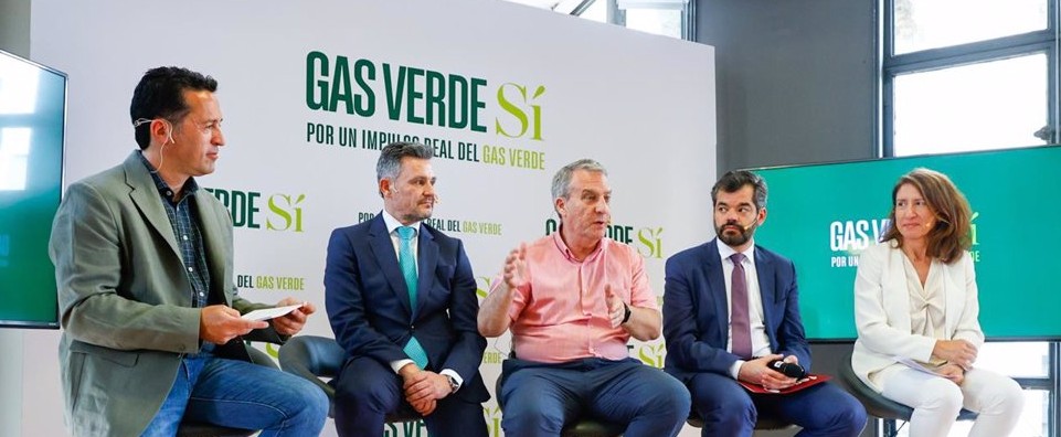 GASVERDESI